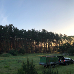 Wanderimker vor Akazien bei Sonnenaufgang